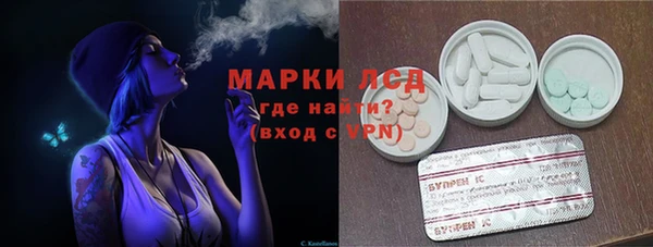 ПСИЛОЦИБИНОВЫЕ ГРИБЫ Горно-Алтайск