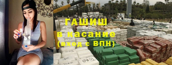 ПСИЛОЦИБИНОВЫЕ ГРИБЫ Горно-Алтайск