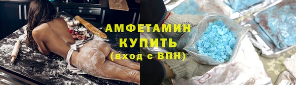 ПСИЛОЦИБИНОВЫЕ ГРИБЫ Горно-Алтайск