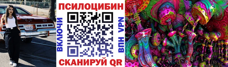 Купить закладки  Малмыж  Псилоцибиновые грибы MAGIC MUSHROOMS 