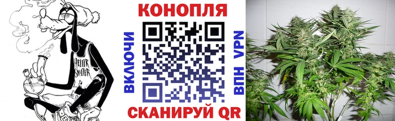 Каннабис планчик Малмыж